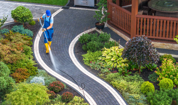 Best Residential Pressure Washing Services  in USA